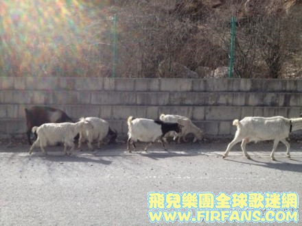 終於來到仙境了！我是神仙1.jpg