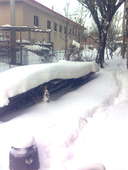 雪.jpg