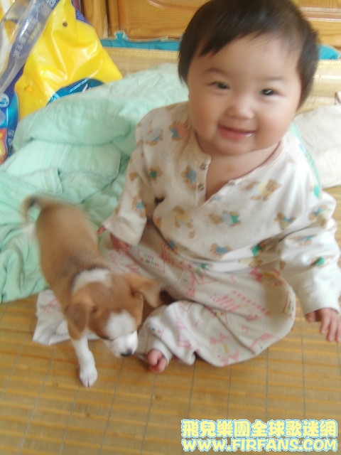 1306406335.jpg